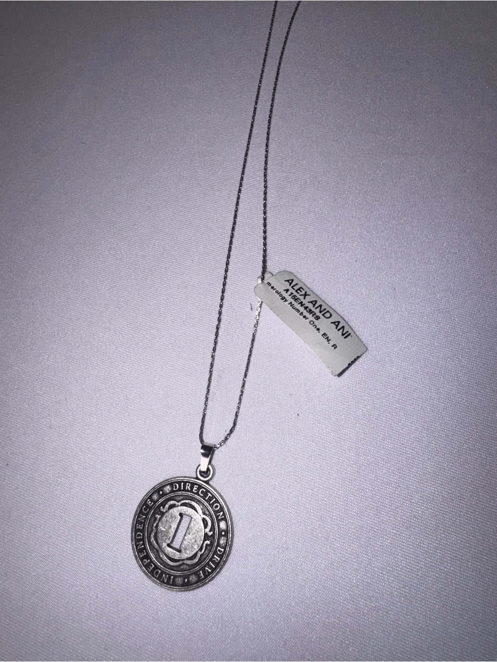Alex and Ani Silver Coin Pendant Necklace with 'Direction' Motif